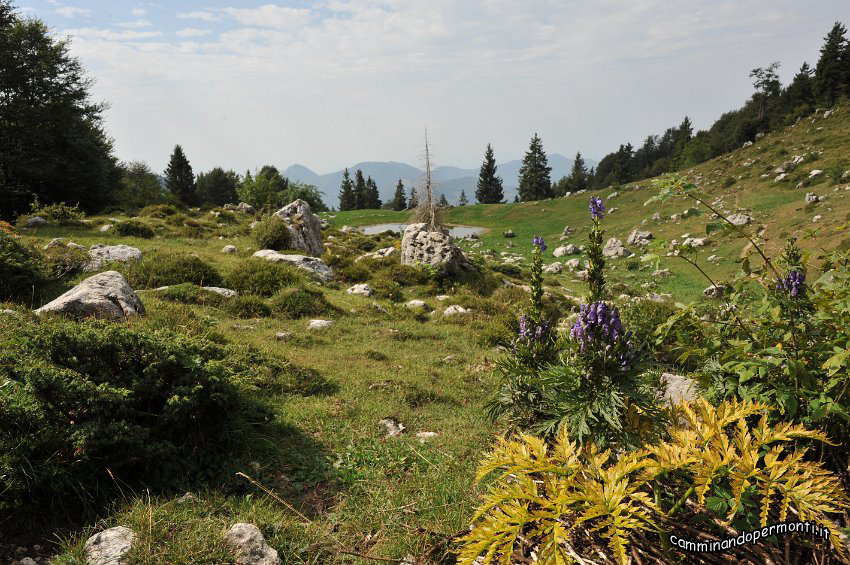 066 Periplo e vetta Monte Alben la Croce.JPG